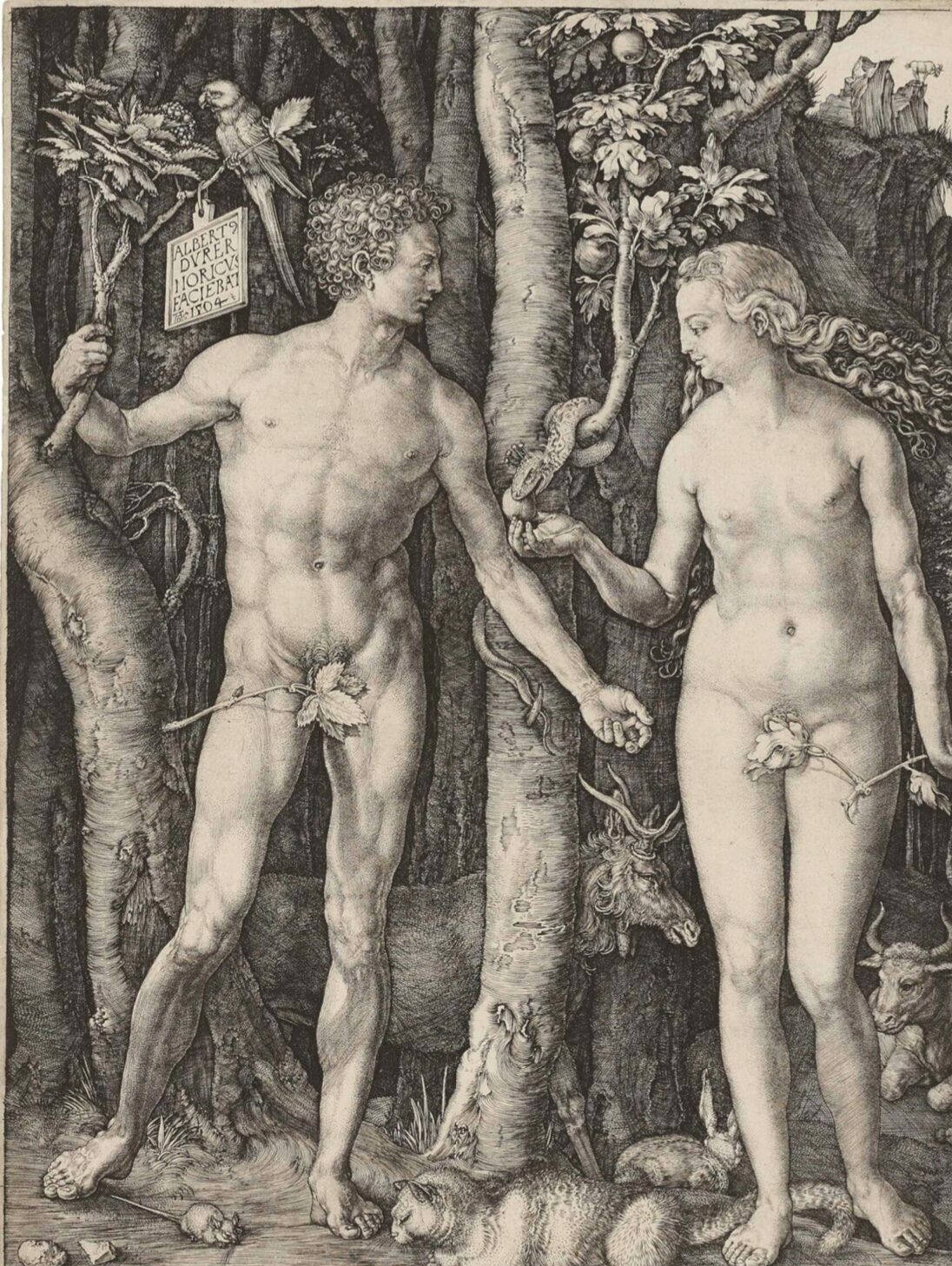 Durer adam and eve